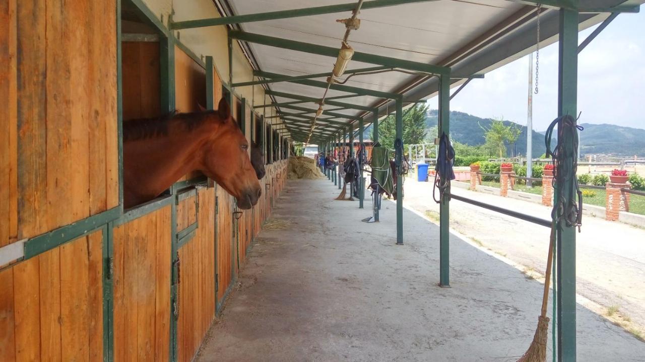 Relais Black Horse Millesimo Esterno foto
