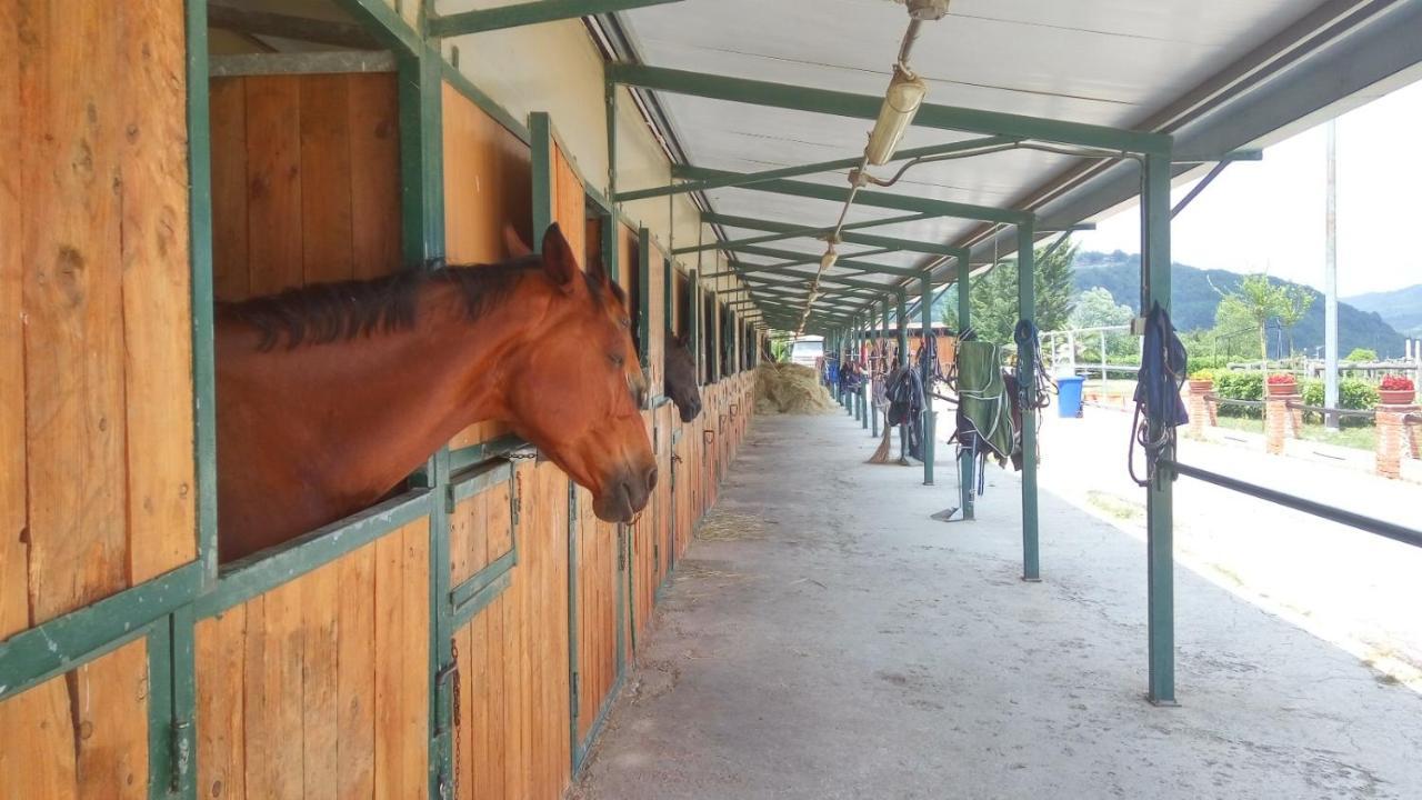 Relais Black Horse Millesimo Esterno foto