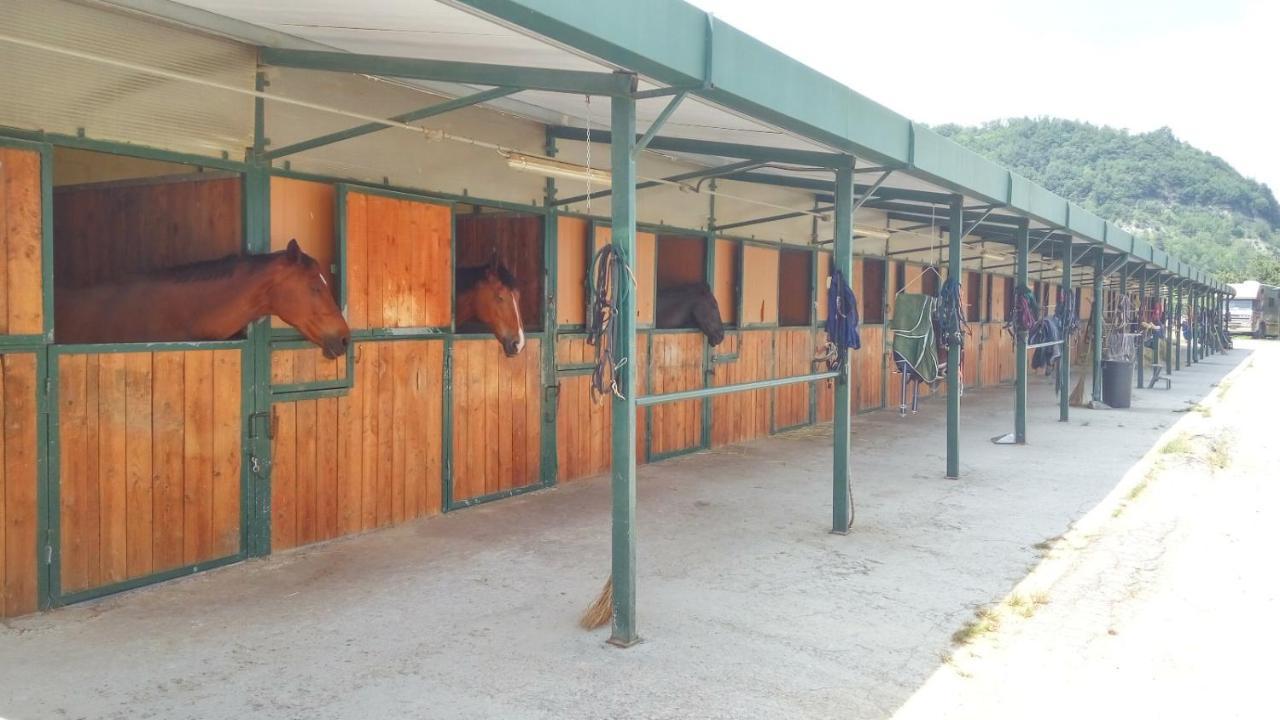 Relais Black Horse Millesimo Esterno foto